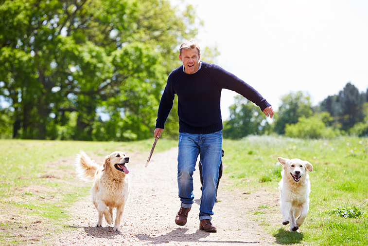 guy playing with dogs